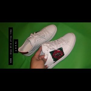 Gucci sneaker